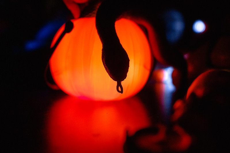 Украшение дома паутиной и летучими мышами к Хэллоуину в Kostanay