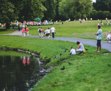 Выездные квесты в парке